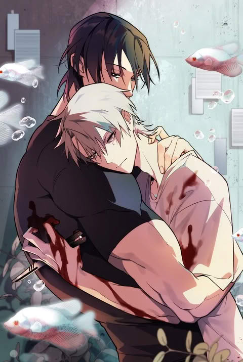 A Room Without Window