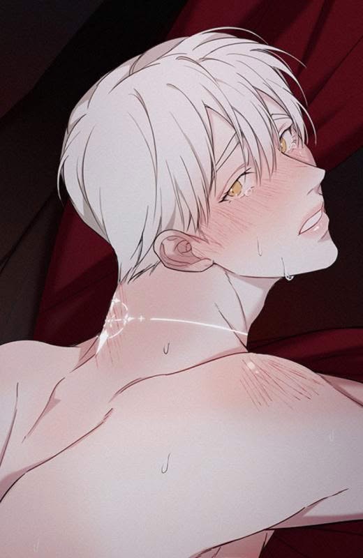 Confession Night | คืนเปลื้องบาป